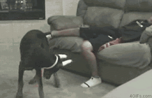 Muôn kiểu đánh thức muốn "rụng tim" những người hay ngủ lười - 5