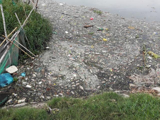 Tin tức trong ngày - "Hiện tượng lạ" đang xảy ra ở hồ nước lớn nhất Vũng Tàu