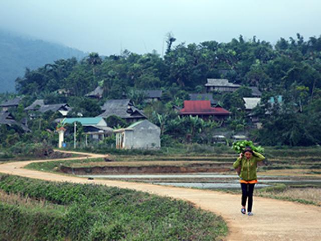Tin tức trong ngày - Chuyện buồn ở “tâm bão” HIV