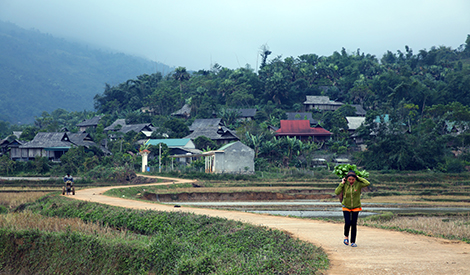 Chuyện buồn ở “tâm bão” HIV - 1