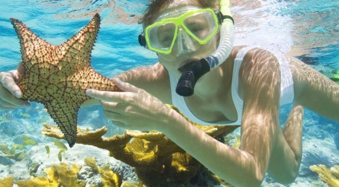 Hòn Móng Tay - thiên đường biển đẹp ngỡ ngàng của Kiên Giang - 7