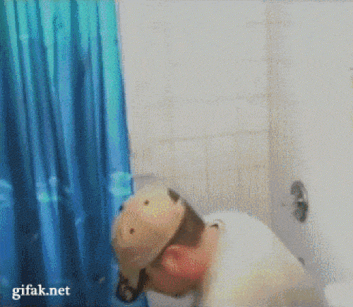 Ngã ngửa với những trò đùa "khốn nạn" nhất năm 2018 - 3