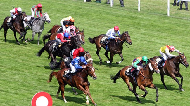 Nóng trong tuần: Bông hồng tỷ phú Việt dính "hạn" lớn chưa từng có - 3