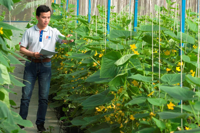 Chương trình khuyến mãi Tết dương lịch 2019 tại MM Mega Market - 2