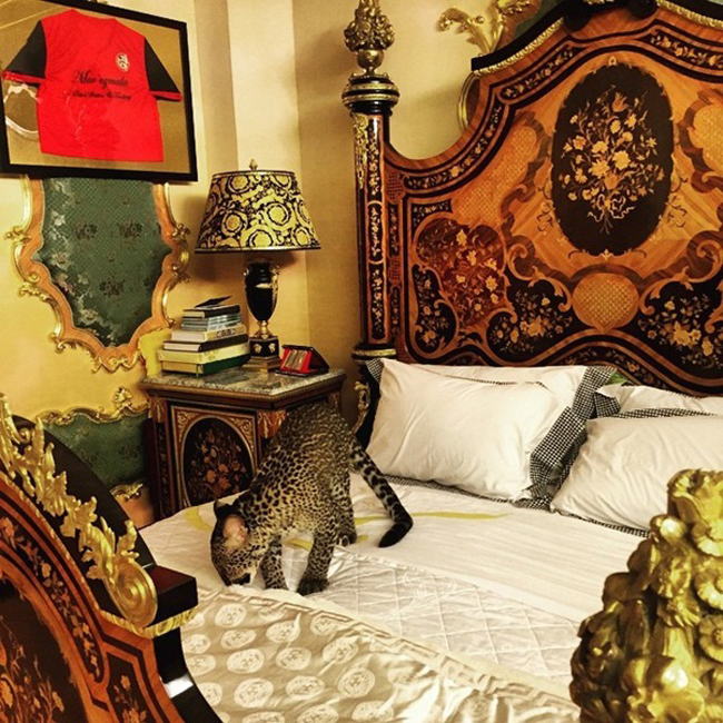 Phòng ngủ theo phong cách hoàng gia.