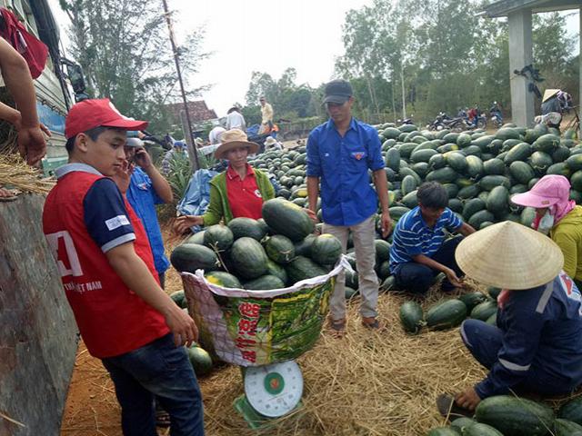 Thị trường - Tiêu dùng - Vị đắng nông sản 2018: Một năm "giải cứu"