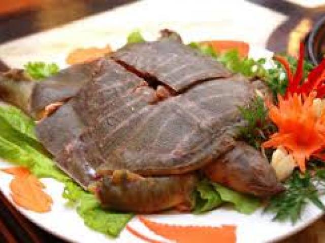 Sức khỏe đời sống - 5 món ăn thuốc giúp "tinh binh" khỏe mạnh