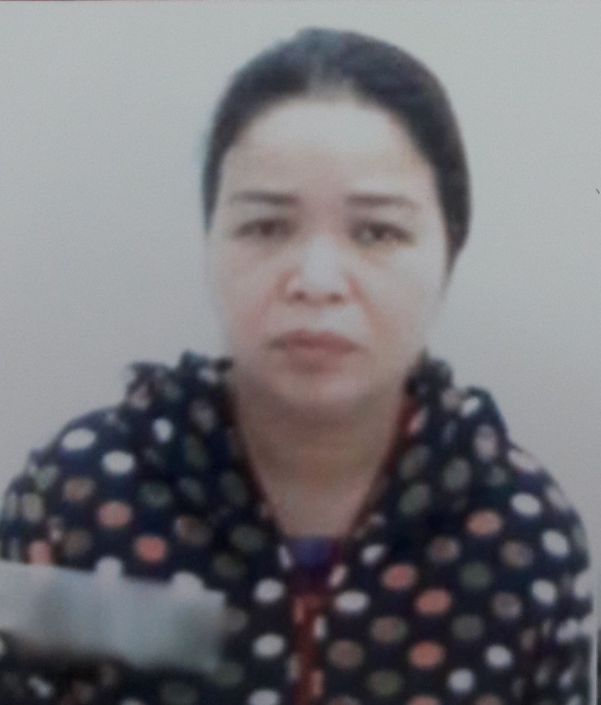 Bước sa ngã của nữ giáo viên tiểu học mờ mắt vì tiền - 2
