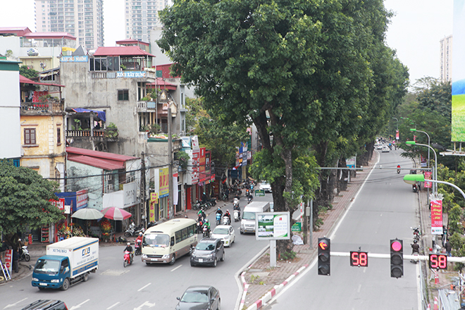 Ngắm hàng cây ở Thủ đô sắp bị &#34;khai tử&#34; trong ngày đầu năm mới - 8