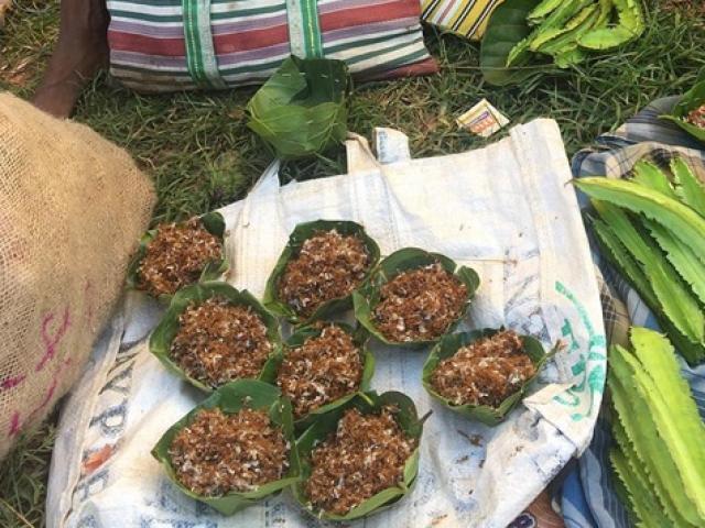 Thị trường - Tiêu dùng - Chịu đau đớn tìm con cắn "điếng người", đem về làm ra món giá 400.000 đồng/kg