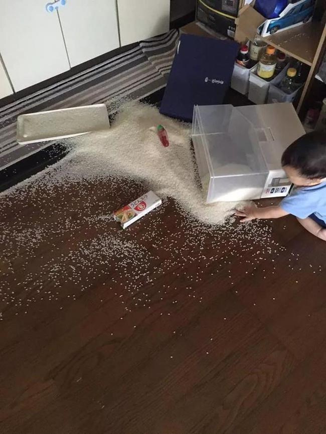 2.Có vẻ như ngồi trên đống gạo sẽ giống như ngồi trên bãi cát mịn chăng?
