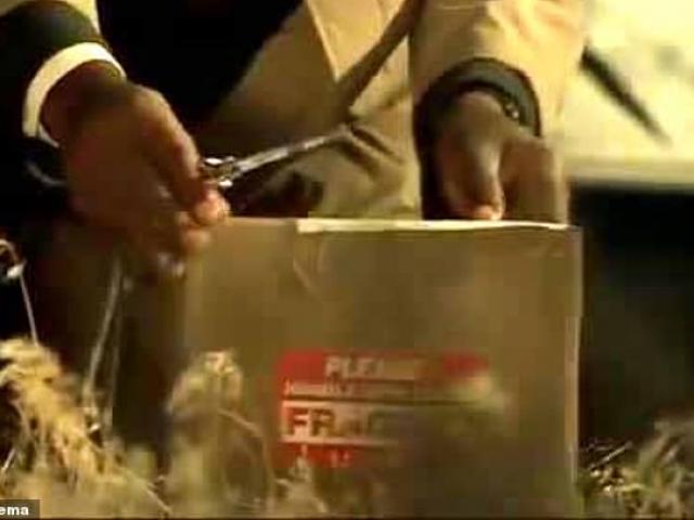 Thế giới - TBN: Bạn nhờ giữ hộp lạ, sợ hãi đến hoảng loạn khi mở ra nhìn thấy thứ bên trong