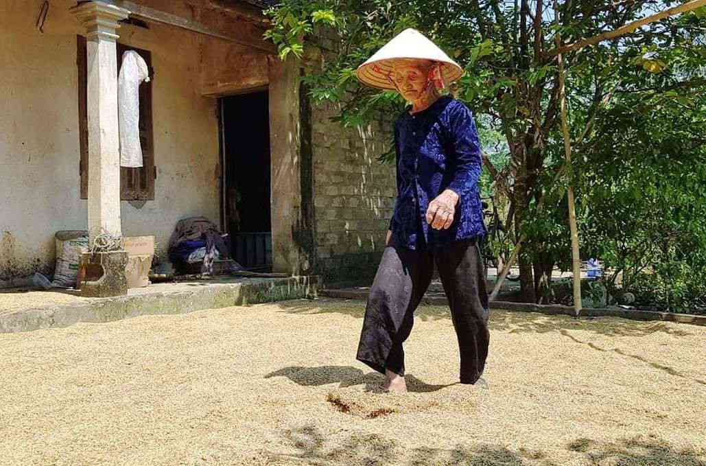 Cụ Đỗ Thị Mơ cho biết dù tuổi cao nhưng cụ vẫn lao động tốt, vẫn có thu nhập nên không thể nghèo được