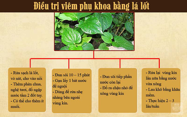 Cách chữa bệnh viêm phụ khoa tại nhà dễ thực hiện - 4