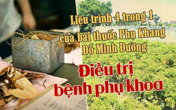 Bài thuốc Nam chữa bệnh phụ khoa Đỗ Minh Đường