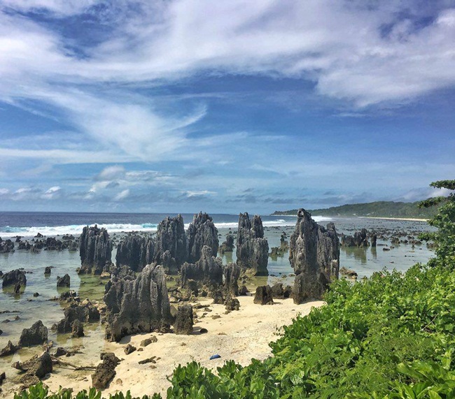 Nauru đã thực hiện nhiều dự án đầu tư ra nước ngoài nhưng chúng không phát huy tác dụng. Ví dụ như các tòa nhà ven biển ở Melbourne, khách sạn ở một số quốc gia, nhà máy phốt phát ở một số quốc gia như Ấn Độ hay Phillippines...