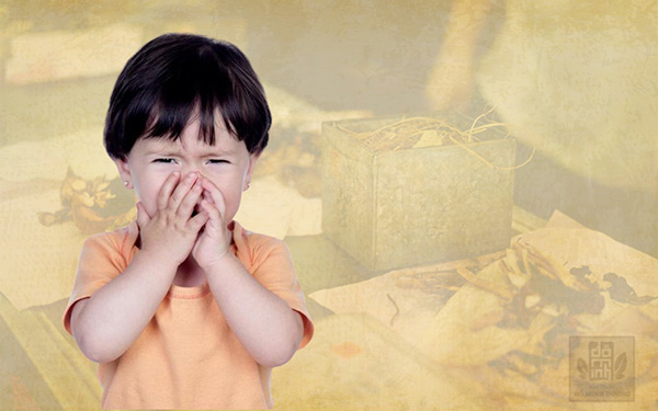 Bệnh viêm mũi dị ứng ở trẻ em và cách điều trị không kháng sinh - 1