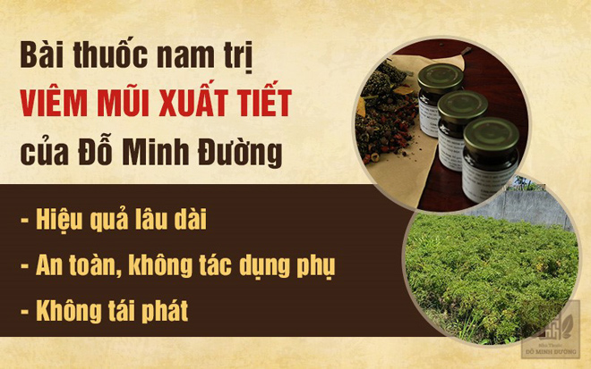 Bệnh viêm mũi xuất tiết là gì? Cách chữa trị hiệu quả từ thảo dược tự nhiên - 4