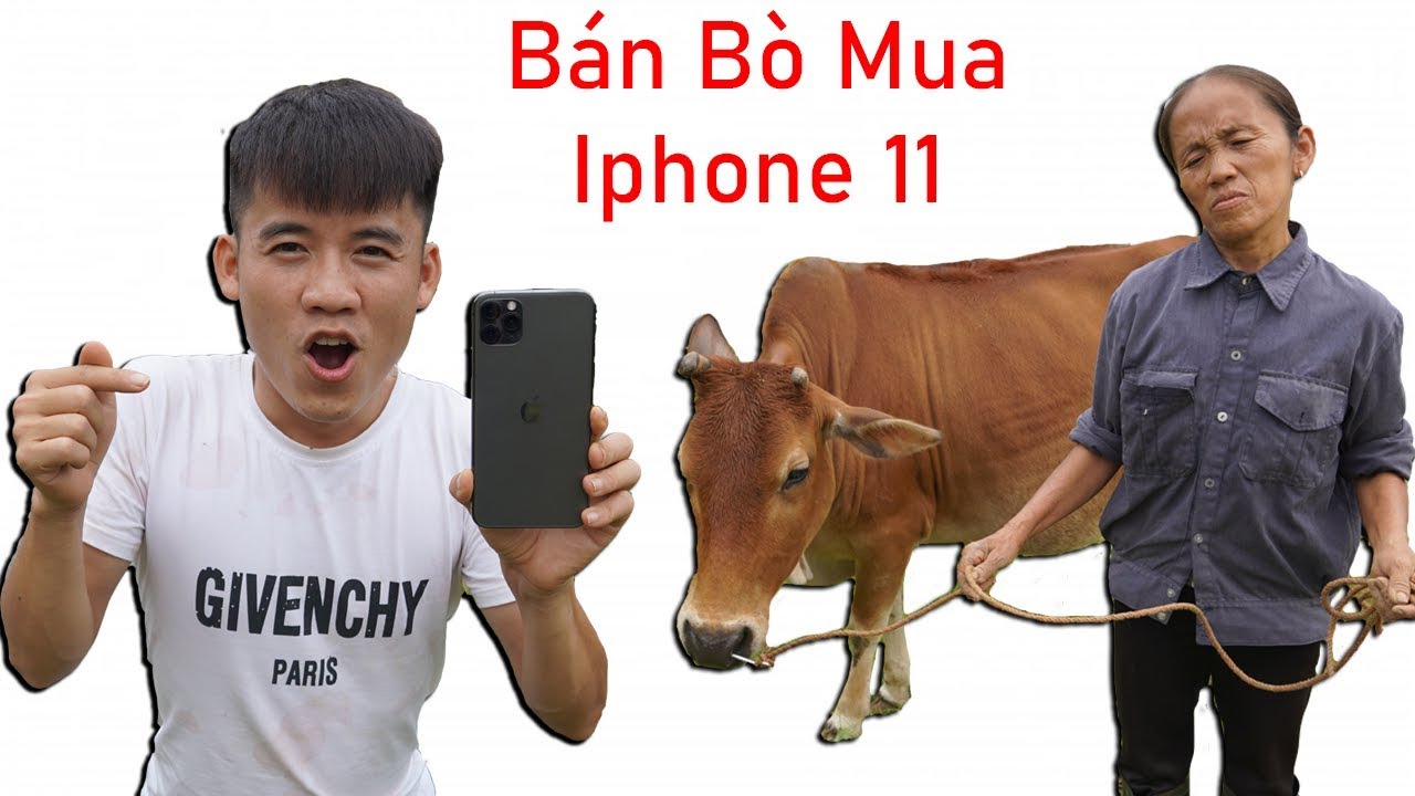 Con trai bà Tân Vlog lừa mẹ bán bò để mua Iphone 11 max pro 40 triệu đồng - 2