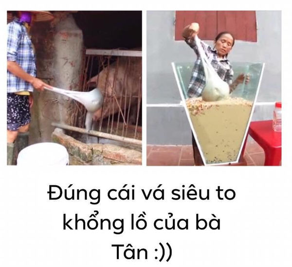 Lý giải vì sao kênh bà Tân Vlog ngày càng gặp nhiều ý kiến tranh cãi - 4