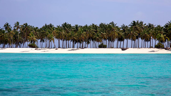 Agatti, Lakshadweep: Nằm cách bờ biển Kochi 460 km là bãi biển Lakshadweep. Với bãi cát trắng chạy dài, rạn san hô đa dạng và vùng nước màu ngọc lam khiến nơi đây trở thành một trong những bãi biển tuyệt vời nhất.
