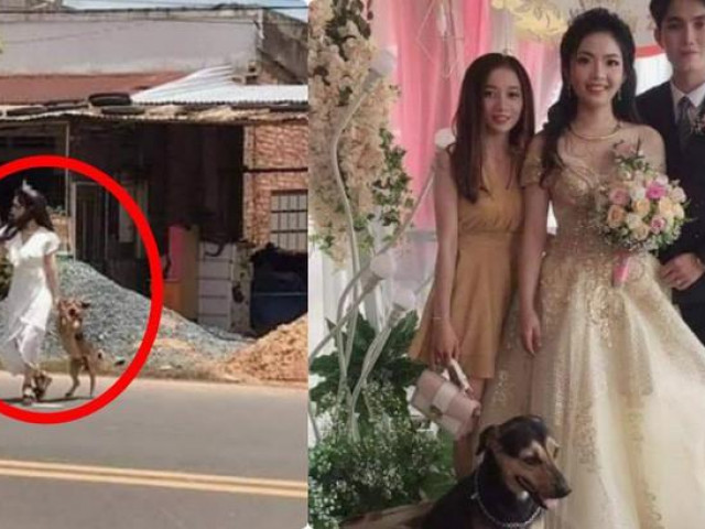 Bạn trẻ - Cuộc sống - Chú rể tá hỏa khi cô dâu lao ra đường mời "kẻ thứ 3" vào dự lễ cưới