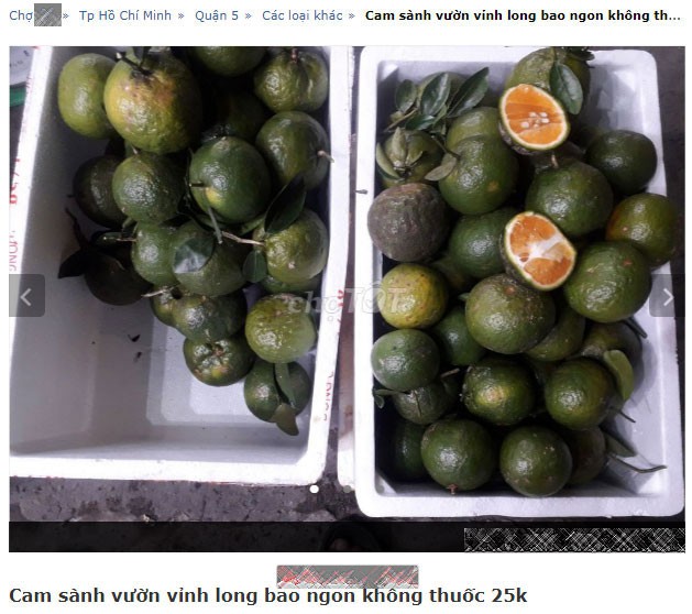 Cũng xuất xứ Vĩnh Long nhưng có chỗ lại bán cam sành với giá 25.000đ/kg