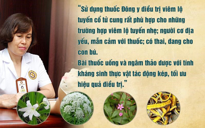 Những loại thảo dược được bác sĩ Hà chọn lọc để điều trị viêm lộ tuyến tác động vào mầm bệnh từ từ, tăng cường sức đề kháng cho cơ thể