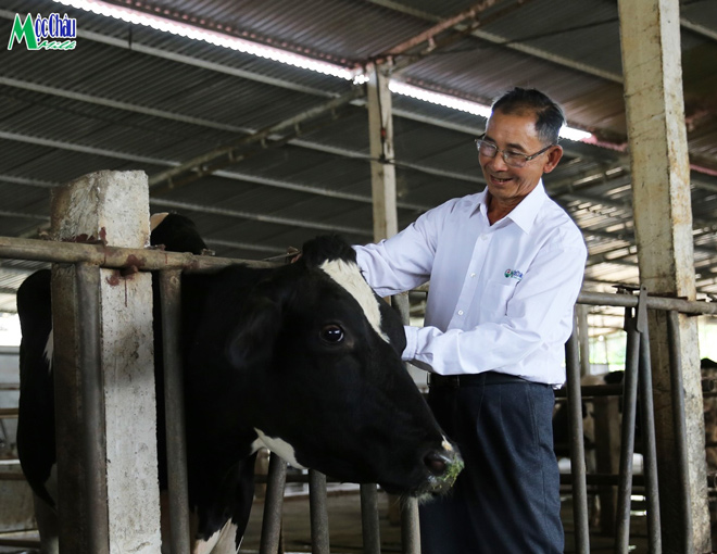 Ông Đạo tại trang trại bò 100 con của gia đình