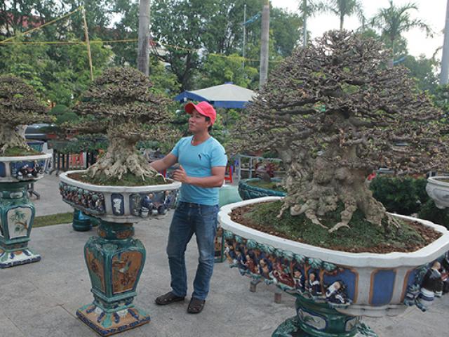 Thị trường - Tiêu dùng - Choáng ngợp bộ 3 mai chiếu thủy giá 5 tỷ lần đầu xuất hiện