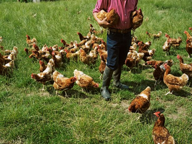 Nghề nghiệp nào chăm chỉ và lười biếng làm "chuyện ấy" nhất thế giới? - 2