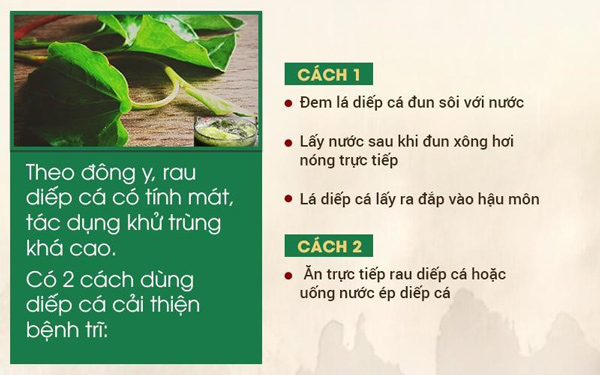 Trĩ nội là gì? Triệu chứng và cách chữa hiệu quả từ y học cổ truyền - 3