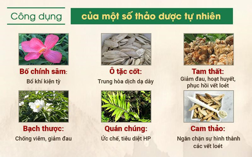 Đau dạ dày là gì? Nguyên nhân, triệu chứng và cách chữa tốt nhất - 4