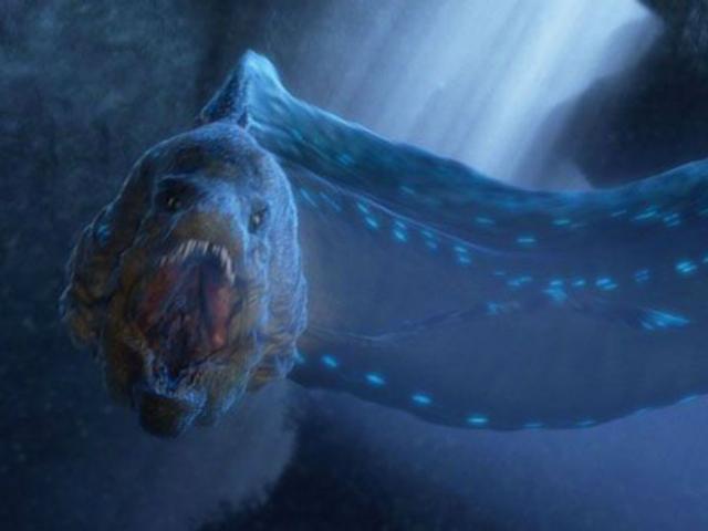 Media - Lươn phóng điện và những "quái vật" gieo rắc nỗi kinh hoàng trong rừng Amazon