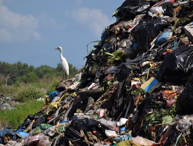 UBND huyện Núi Thành cũng vừa có báo cáo đề nghị tỉnh cho phép đưa khu chứa và xử lý rác thải Tam Xuân 2 hoạt động trở lại để xử lý rác sau khi kiểm tra thực tế cho thấy công ty đã khắc phục xong sự cố môi trường.