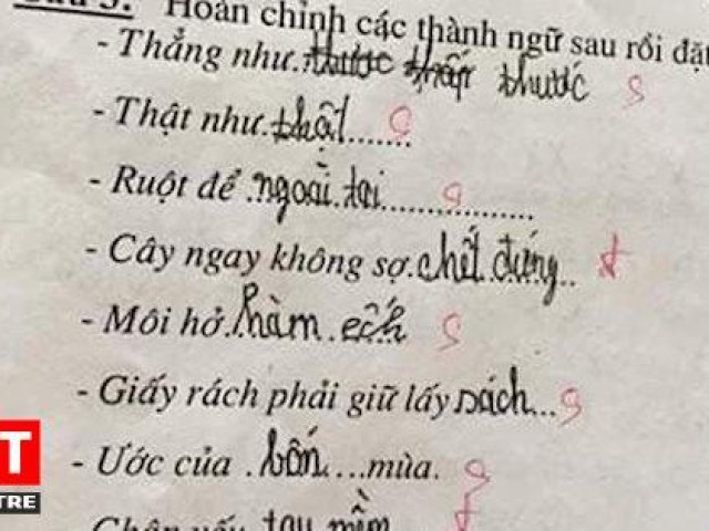 Giáo dục - du học - Bài kiểm tra thành ngữ của học sinh cấp một: "Cây ngay không sợ… cọp", "môi hở hàm ếch"
