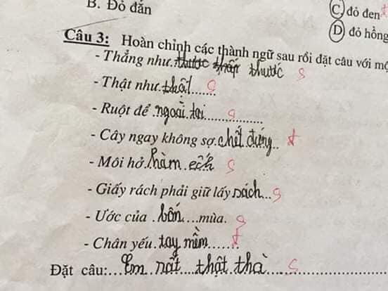 Bài kiểm tra thành ngữ của học sinh cấp một: &#34;Cây ngay không sợ… cọp&#34;, &#34;môi hở hàm ếch&#34; - 3