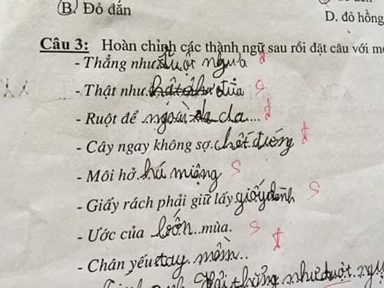 Bài kiểm tra thành ngữ của học sinh cấp một: &#34;Cây ngay không sợ… cọp&#34;, &#34;môi hở hàm ếch&#34; - 4