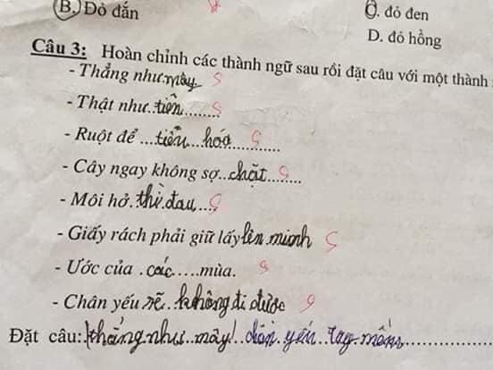 Bài kiểm tra thành ngữ của học sinh cấp một: &#34;Cây ngay không sợ… cọp&#34;, &#34;môi hở hàm ếch&#34; - 5