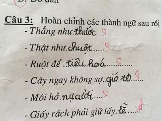 Bài kiểm tra thành ngữ của học sinh cấp một: &#34;Cây ngay không sợ… cọp&#34;, &#34;môi hở hàm ếch&#34; - 6