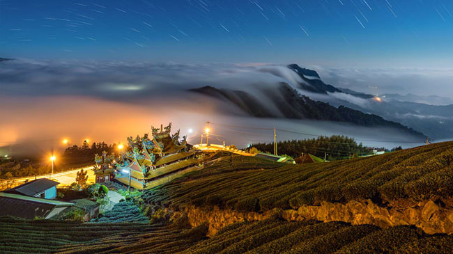 Alishan, Chiayi: Đỉnh cao nhất của dãy núi Ali của Đài Loan, Datashan cao 2.663 m. Đến đây du khách sẽ được chiêm ngưỡng những cảnh quan rất ngoạn mục đẹp như một bức tranh.
