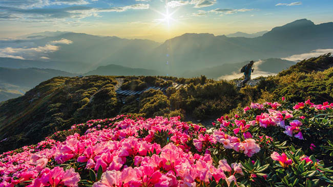Hehuanshan: Hehuanshan cao 3,416 mét là một trong những kỳ quan thiên nhiên tuyệt vời nhất ở Đài Loan, đặc biệt là vào tháng 5, khi hoa đỗ quyên nở rực rỡ trên đỉnh núi.
