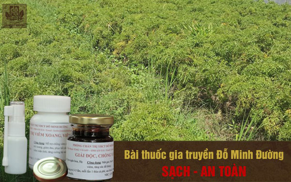 Bệnh viêm xoang cấp và mãn tính: Triệu chứng và cách chữa dứt điểm  - 5