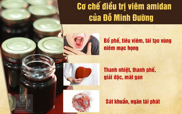 Cách chữa viêm amidan tại nhà nhanh, dễ, an toàn, không kháng sinh - 4
