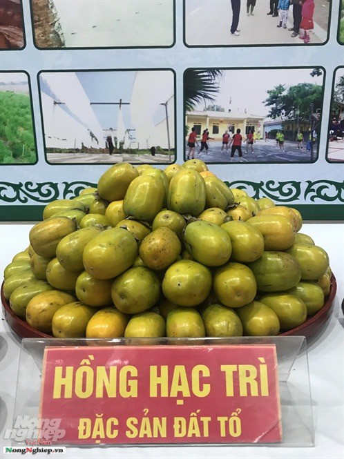 Để có được mâm hồng Hạc trưng bày thế này, Phú Thọ phải thuyết phục mãi người dân&nbsp;mới bán cho. Ảnh: NNVN