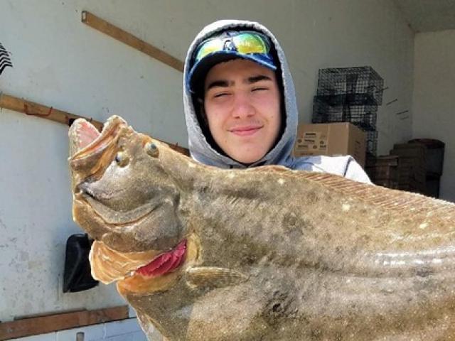 Thị trường - Tiêu dùng - Loài kỳ quái, mắt tự "đi lại" trên cơ thể, bán nửa triệu, người Việt tấm tắc khen