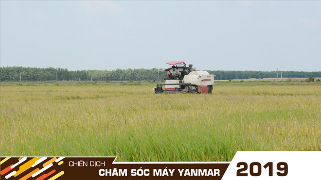 Chiến dịch chăm sóc máy Yanmar toàn diện năm 2019 - 6