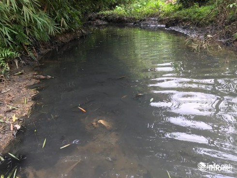 Nước bị nhiễm dầu thải tại&nbsp;khu vực suối đầu nguồn gần Nhà máy nước sạch Sông Đà.