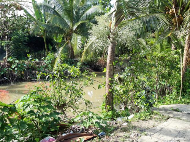 Tin tức trong ngày - Đi tìm cháu, bà nội đau đớn thấy cháu nổi trên sông trước nhà