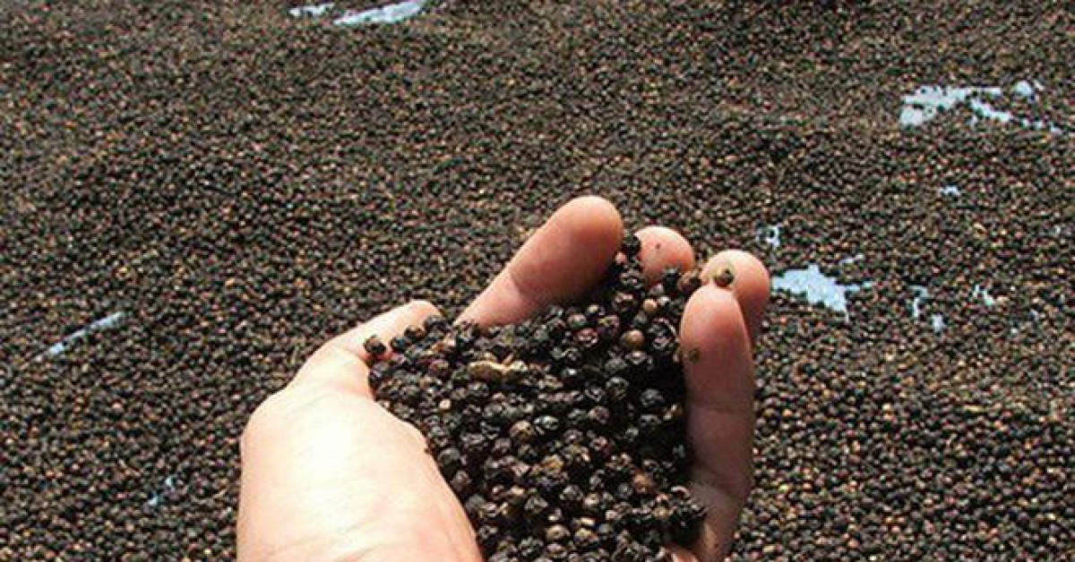 Thị trường - Tiêu dùng - Xuất khẩu hồ tiêu vào Myanmar, doanh nghiệp Việt bị bạn hàng “bỏ bom”
